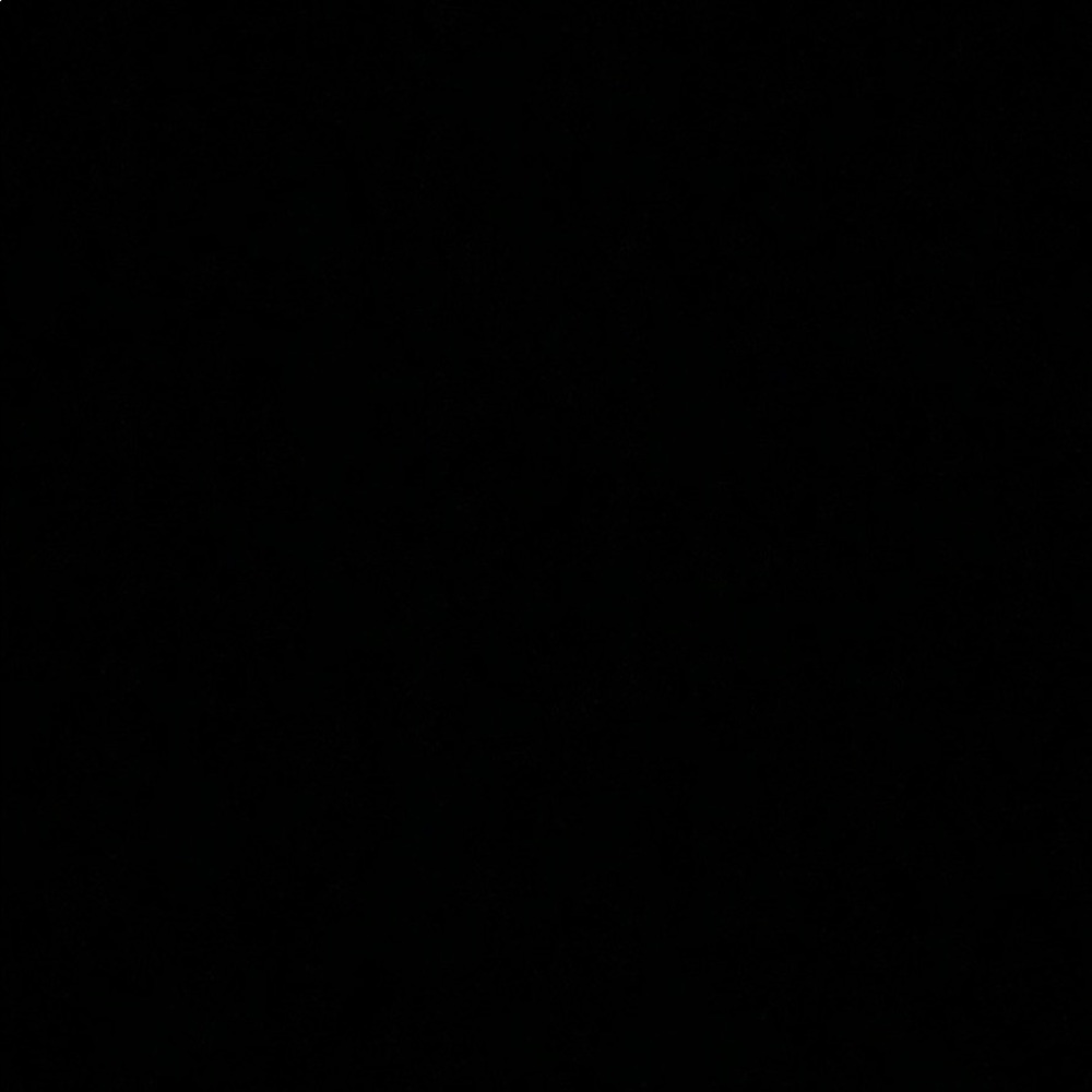 Meet your Posher, Bianca